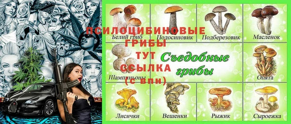 винт Наволоки