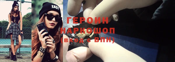 индика Болхов