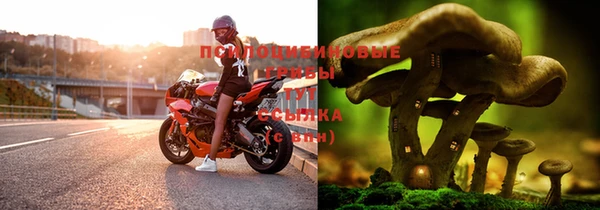 ALPHA PVP Надым