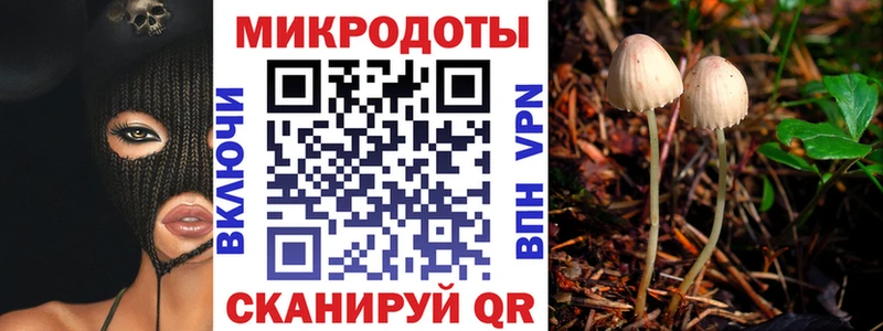 Псилоцибиновые грибы прущие грибы  купить  сайты  Бирюч 